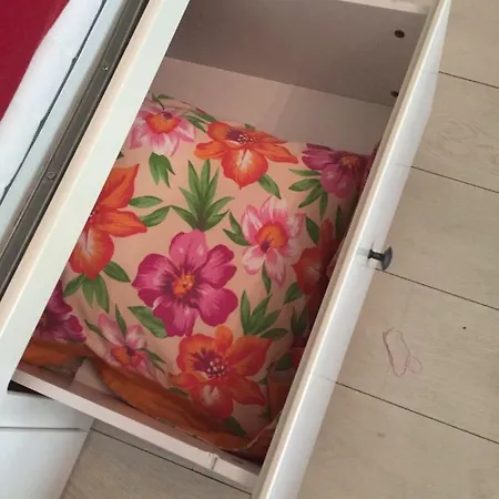 La Casa Degli Ulivi *